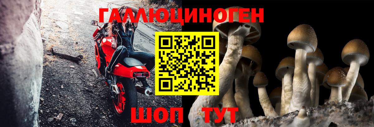 Ижевск  Псилоцибиновые грибы мицелий  Вход с VPN 
